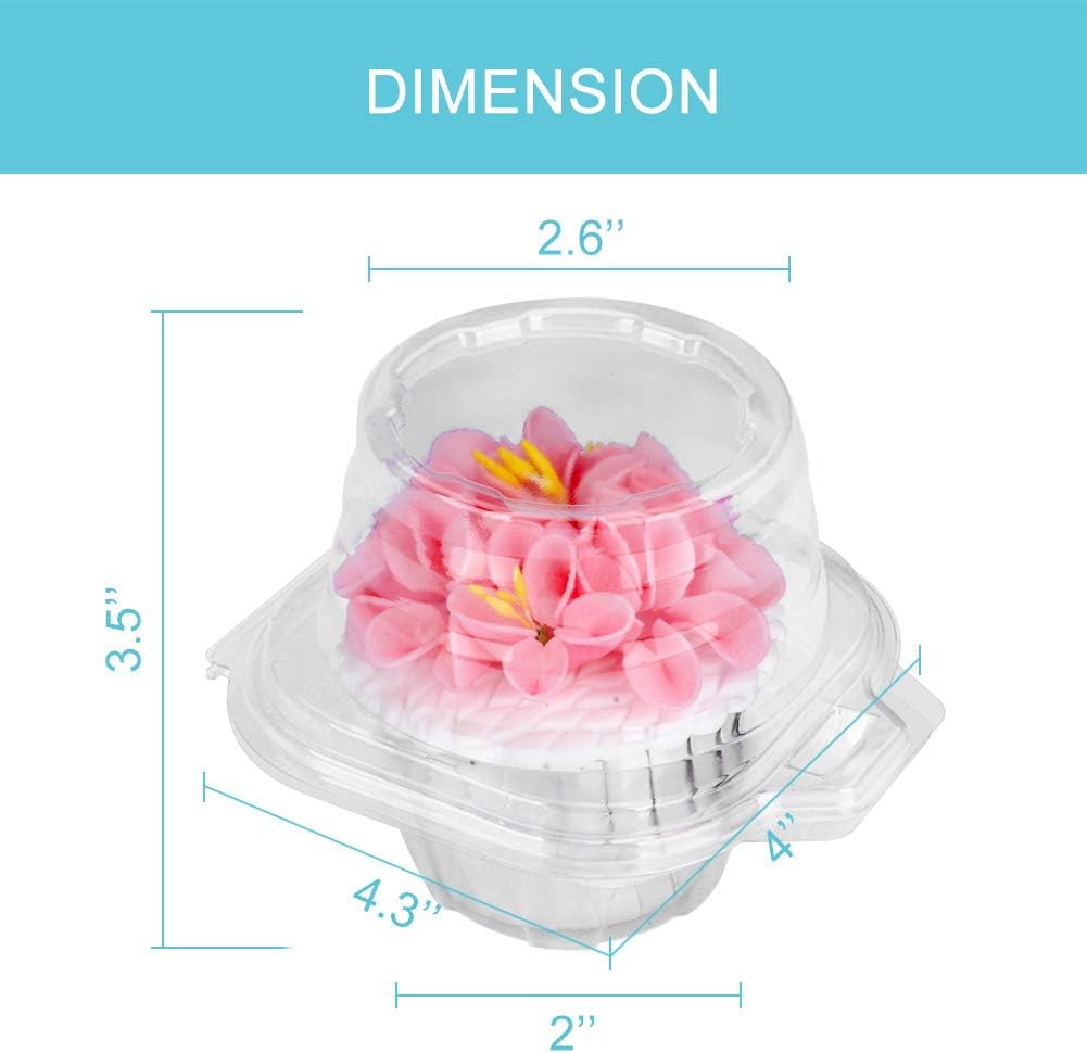 50 Pcs Cupcake Boxes Plastic Individual Cupcake Containers